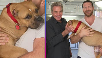 ‘The Wizard of Paws’: Martin Kove and Son Jesse Spill on Their Three-Legged Dog (Exclusive)